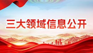 三大領域信息公開